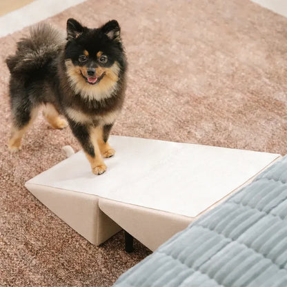 2-in-1 Convertible Wooden Home Step Stool Dog Ramp Stairs