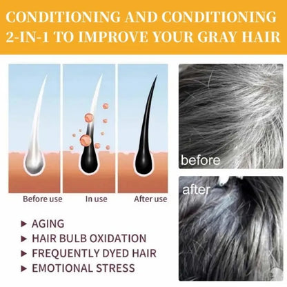 🔥First 100 :2nd ltem 60% Off🔥Gray Gone Bar Shampoo