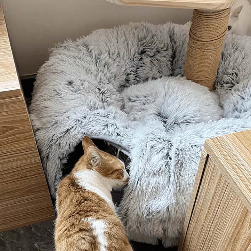 🐾 2-in-1 Foldable Cat Tunnel Bed – Soft, Warm & Perfect for Indoors!