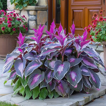 🎄Last day clearance🌿Rare Hosta Seeds for Lush Shade Gardens💖
